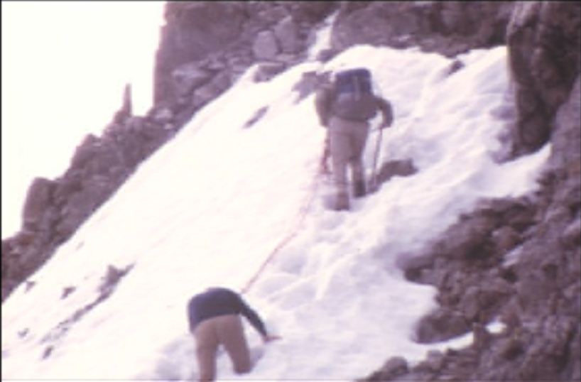 Alpinisme, cueillette et randonnée