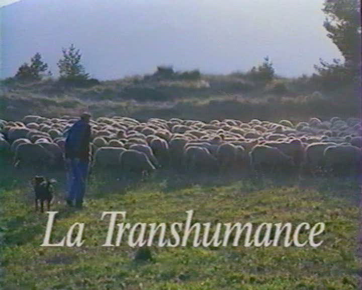 Transhumance (La)
