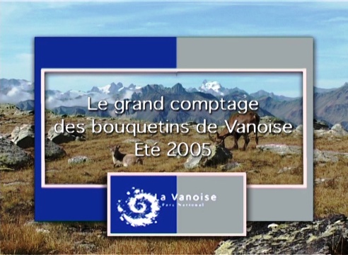Grand comptage des bouquetins de Vanoise été 2005 (Le)