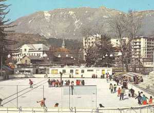 Alp'Arena - Historique