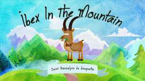 Ibex in the mountain