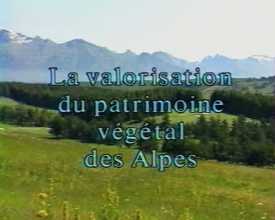 Valorisation du patrimoine végétal des Alpes  (La)