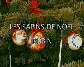 Sapins de Noël Robin (Les)