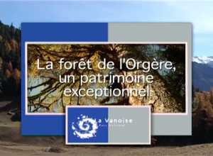 Forêt d'Orgère, un patrimoine exceptionnel (La)