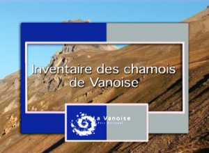 Inventaire des chamois en Vanoise