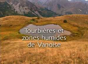 Tourbières et zones humides en Vanoise