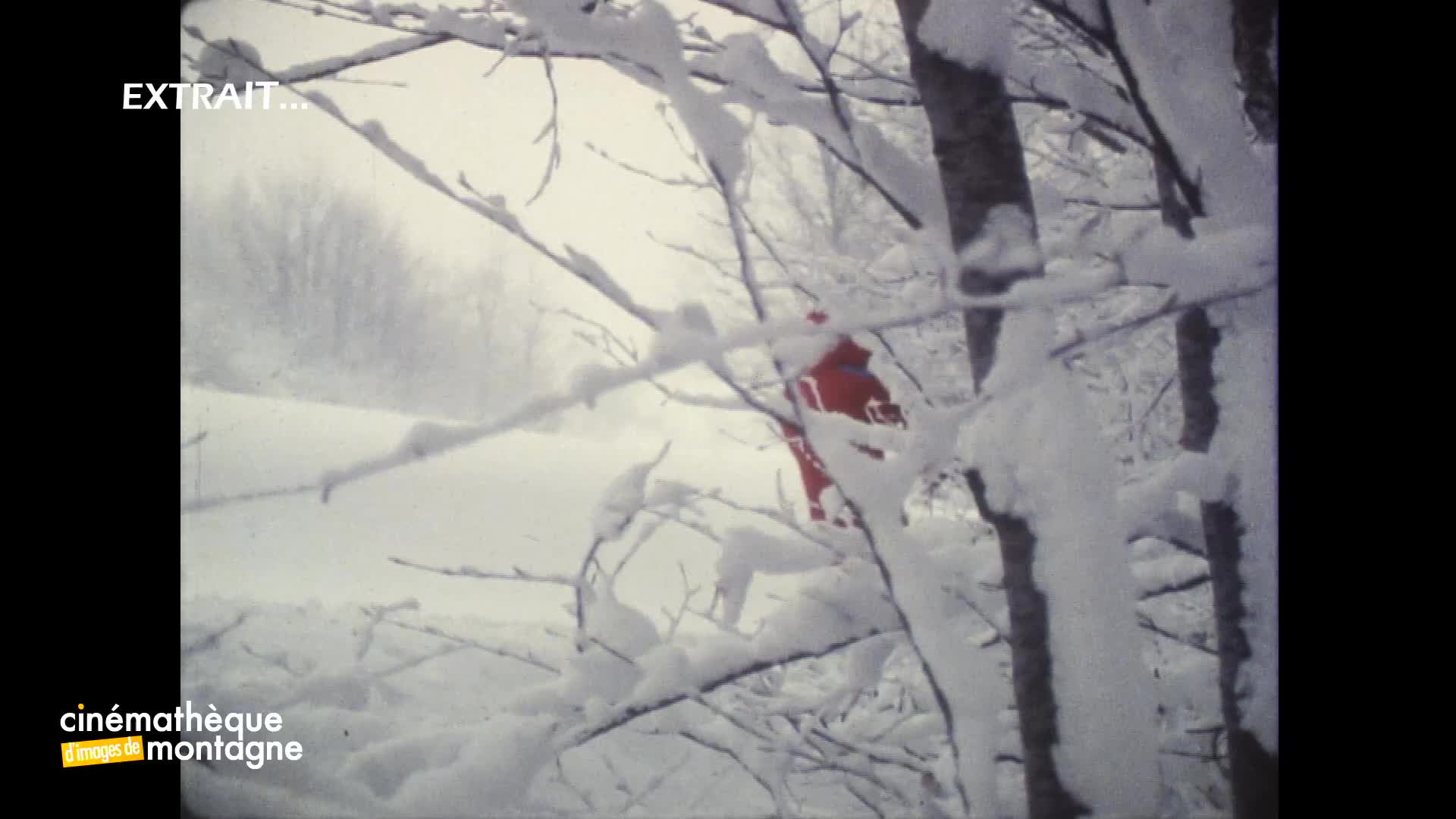 Loubards des neiges