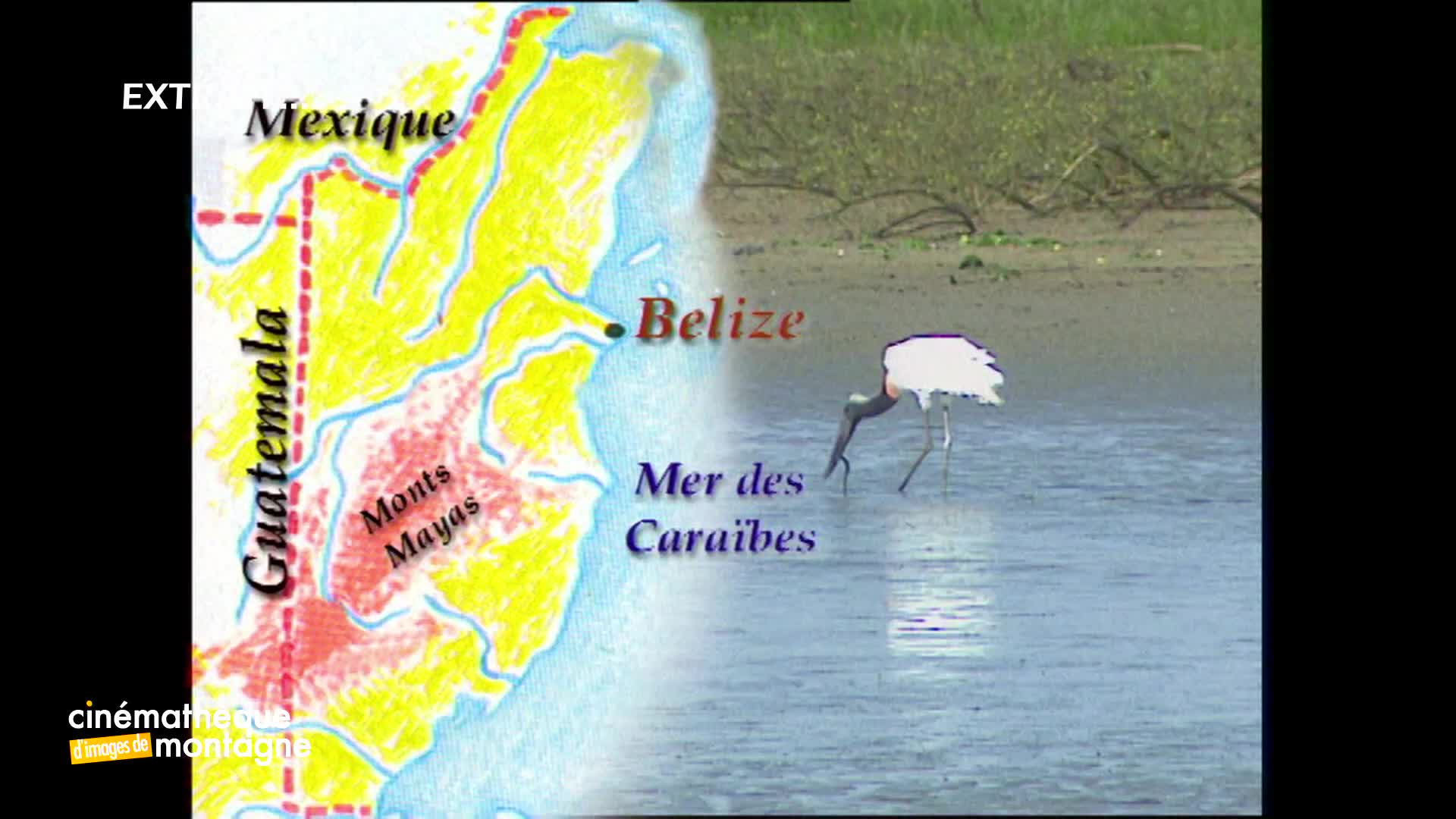 Belize ou la Vraie Vie