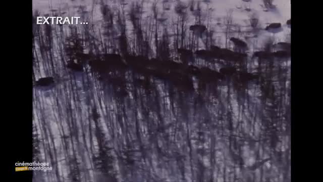 Peuples chasseurs de l'Arctique