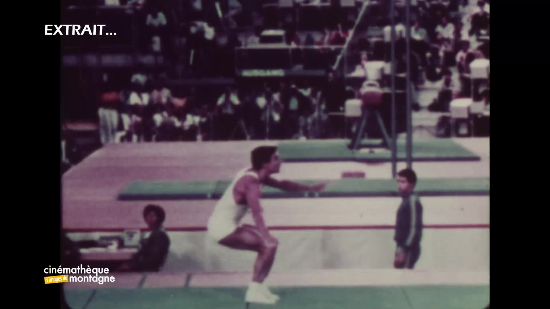 Gymnasts