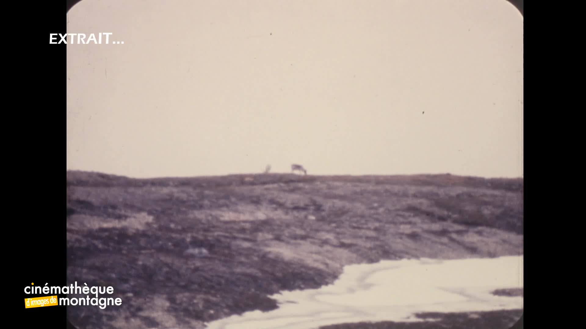 Séjourner au Spitzberg