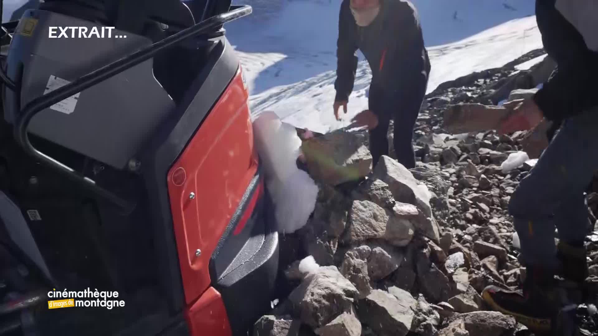 La fleur et le glacier